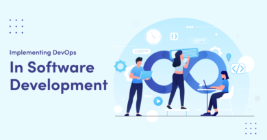 DevOps in Software Development